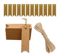 Étiquettes Kraft 7x2cm - Étiquettes Vierges pour Mariage, Anniversaire, Noël - Avec 20M de Ficelle de Jute (100Pcs, Marron)