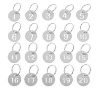 Étiquettes Métalliques Numérotées Plaque D'immatriculation En Acier Inoxydable, 100 Pièces, Étiquette D'identification De Clé, Étiquettes Suspendues 1 À 200, Numérotées Métal For Bricolage(100-200)