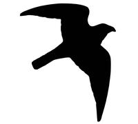 Etiquettes Nobby Pet Bird Of Prey (x10) Noir 120x170 mm