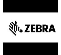 Étiquettes Zebra 10026763 transfert thermique blanches 45x13mm 600 pièces par rouleau 500g