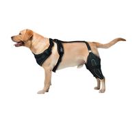 Étirement du genou de la jambe arrière du chien, équipement de soutien de la jambe arrière pour chien, support CCL réglable, pour chiens de taille moyenne et grande, stabilisation des articulations du