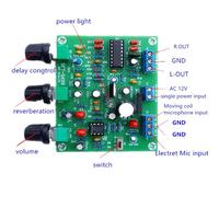 ETK3699 amplificateur Microphone numérique Kara OK Surround, retardateur réverbération, panneau préampli Nipseyteko