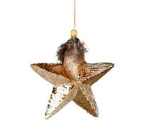 Étoile à Paillettes dorées de 15 cm - Décorations à Suspendre pour Sapin de Noël - Ornements décoratifs festifs sur Le thème des Contes de fées