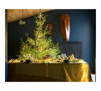 Étoile cimier de sapin de noël lumineuse à piles led blanc chaud timer