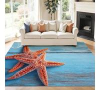 éToile De Mer Tapis 60x90 cm Planche en Bois Moquette Antiderapant à Poils Courts Tapis 3D Lavable en Machine Convient aux EntréEs Couloirs et Portes d'Entrée a-187