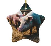 Étoile décorative en céramique à motif cochons dans la ferme pour sapin de Noël, maison, voiture, magasin - Décoration festive à suspendre