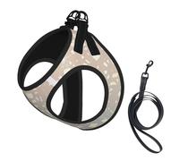 Étoile dorée Scintillante Vintage Glamour,Harnais pour Animaux de Compagnie, Harnais réfléchissant réglable pour Chien,S