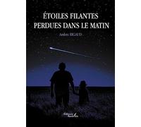 Étoiles filantes perdues dans le matin