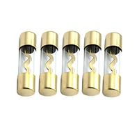 ETOPARS Lot de 5 fusibles AGU pour voiture - 40 A - Protection de sécurité - Tube en verre plaqué or