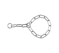 Collier pour Chien Hs Sprenger Argenté Long Maillons (54 cm)