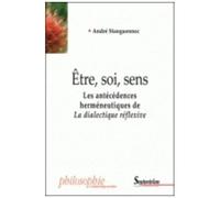 Etre, Soi, Sens - Les Antécédences Herméneutiques De La Dialectique Réflexive
