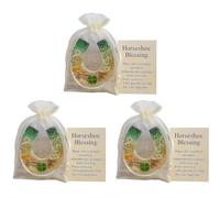 Étreinte de poche en forme de fer à cheval avec message de bénédiction - Cadeau souvenir inspirant pour vos amis et vos proches