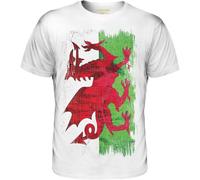 ETTUWSDFV Plain White t Shirt mit Walisischer Flagge für Herren und Damen, 100% Baumwolle, WeiGelbSchwarzRot, 100% Baumwolle, Jersey Manches Courtes(Small)