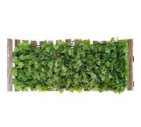 ETUCYNG intimité du patio, protection des données du patio - Panneaux extensibles de protection des données - Panneaux de jardin qui développent la toile de fond verdâtre pour le balcon au bord de la