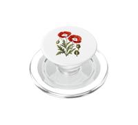 Étude de Fleurs de Coquelicot Rouge botanique Vintage PopSockets PopGrip pour MagSafe