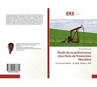 Etude de la performance d'un Puits de Production Pétrolière: Cas du puits Mibale - 19, MIOC Offshore / RDC
