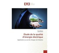Étude de la qualité d'énergie électrique Application au cas des charges non linéaires - Fouzi Aboura - Universitaires Europeennes - broché - Etude