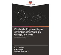 Étude de l'hydraulique environnementale du Gange, en Inde: Hydraulique fluviale