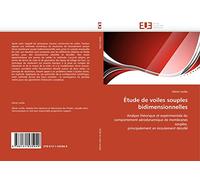 Étude de voiles souples bidimensionnelles: Analyse théorique et expérimentale du comportement aérodynamique de membranes souples, principalement en écoulement décollé
