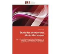 Étude des phénomènes électrothermiques Vincent Giraud (Auteur)