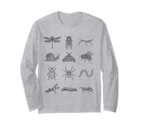 Étude détaillée des Formes Naturelles des espèces d'insectes entomologiques Manche Longue