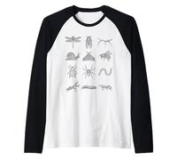 Étude détaillée des Formes Naturelles des espèces d'insectes entomologiques Manche Raglan