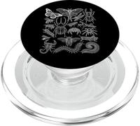 Étude détaillée des Formes Naturelles des espèces d'insectes entomologiques PopSockets PopGrip pour MagSafe
