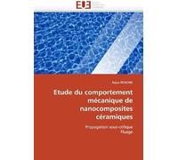 Etude Du Comportement Mécanique De Nanocomposites Céramiques