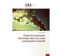 Etude d'un panache thermique dans un canal rectangulaire chauffé - Ahlem Arfaoui - Universitaires Europeennes - broché - Livre