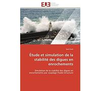 Étude Et Simulation De La Stabilité Des Digues En Enrochements