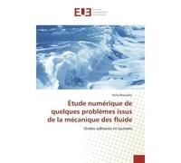 Étude numérique de quelques problEmes issus de la mécanique des fluide Ondes solitaires et tsunami - Aicha Boussaha - Universitaires Europeennes - broché - Essai