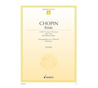 Etude ut mineur: Étude révolutionnaire. op. 10/12. piano.