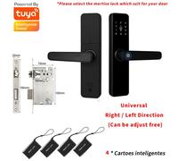 Études Anté-Historiques