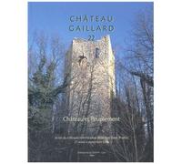 Etudes De Castellologie Médiévale - Château Et Peuplement - Actes Du Colloque Internationale De Voiron (Isère, France) 28 Août-4 Septembre 2004