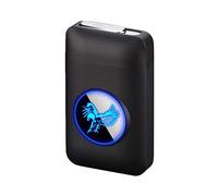 Étui à cigarettes avec briquet, étui à cigarettes graphique LED, 2 en 1, portable, électronique, sans flamme, rechargeable, élégant, noir aigle