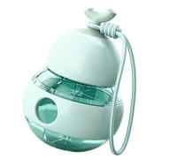 Étui à pilules de gourde miniature portable à la mode comportant plusieurs sections pour la séparation des médicaments scellé pour la sécheresse Joli étui à pilules