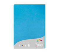 Etui de 25 feuilles Pollen 210x297 210g/m2 - Bleu turquoise