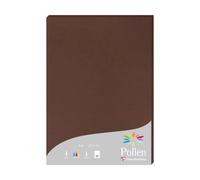 Etui de 25 feuilles Pollen 210x297 210g/m2 - Cacao