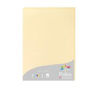 Etui de 25 feuilles Pollen 210x297 210g/m2 - Chamois