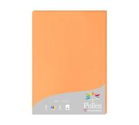 Etui de 25 feuilles Pollen 210x297 210g/m2 - Clémentine