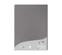 Etui de 25 feuilles Pollen 210x297 210g/m2 - Gris acier