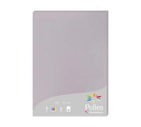 Etui de 25 feuilles Pollen 210x297 210g/m2 - Gris koala