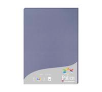 Etui de 25 feuilles Pollen 210x297 210g/m2 - Myosotis