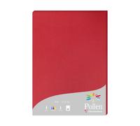 Etui de 25 feuilles Pollen 210x297 210g/m2 - Rouge groseille