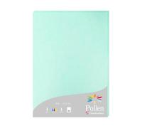 Etui de 25 feuilles Pollen 210x297 210g/m2 - Vert Jade