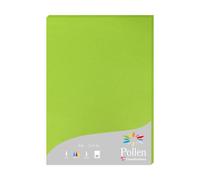 Etui de 25 feuilles Pollen 210x297 210g/m2 - Vert menthe