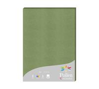 Etui de 25 feuilles Pollen 210x297 210g/m2 - Vert sauge