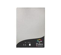 Etui de 50 feuilles A4 Pollen Argent