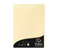 Etui de 50 feuilles Pollen 210x297mm 120g/m2 - Chamois