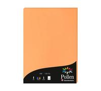 Etui de 50 feuilles Pollen 210x297mm 120g/m2 - Clémentine